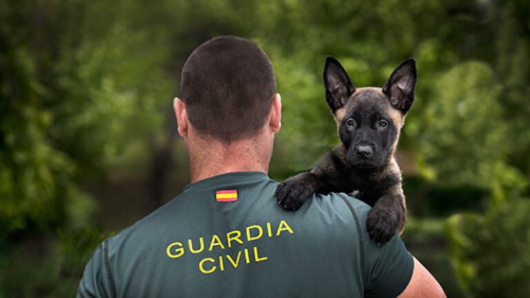 Unidad canina de la Guardia Civil