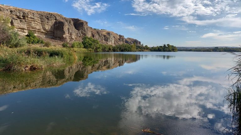 Laguna de El Campillo