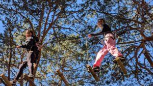 Actividad de 1º de Bachillerato