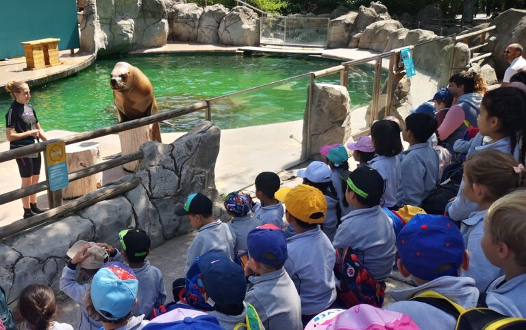 Alumnos de 3.º de Infantil durante su visita al zoo