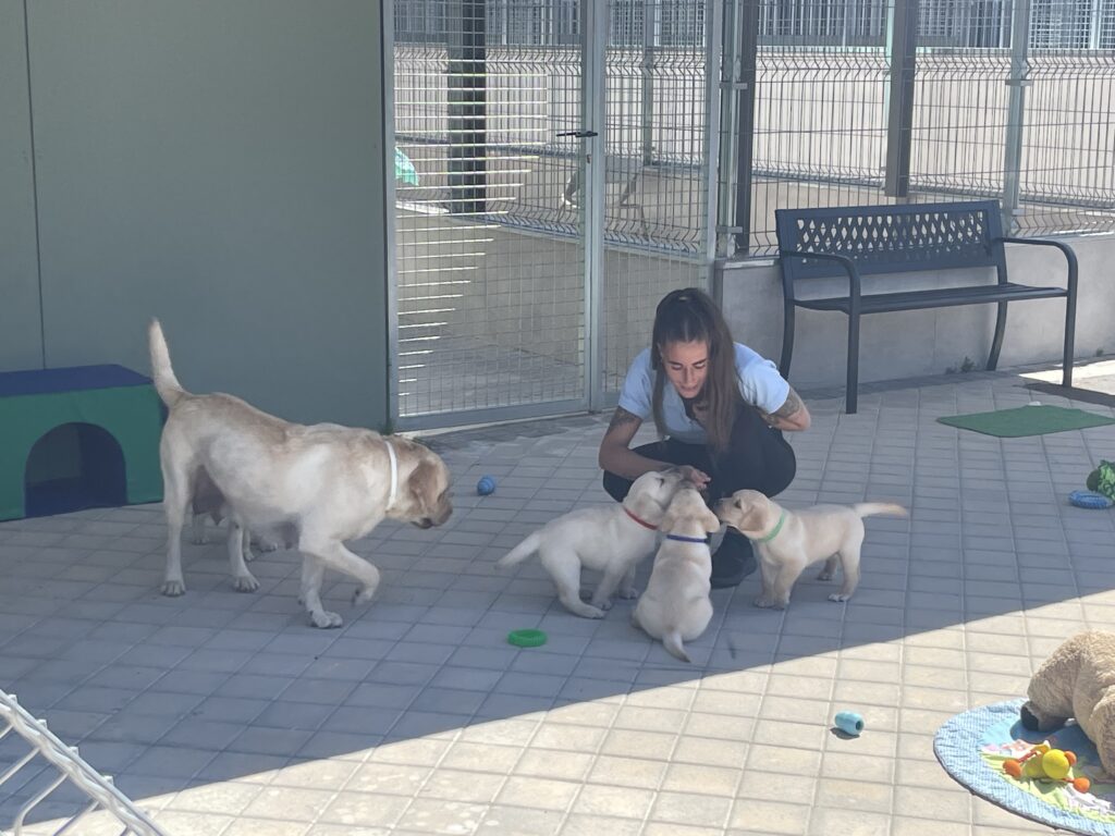 Alumnos de 4º de Primaria durante la visita a la Fundación ONCE del Perro Guía.