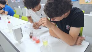 Práctica de laboratorio sobre lluvia ácida y sostenibilidad en Secundaria