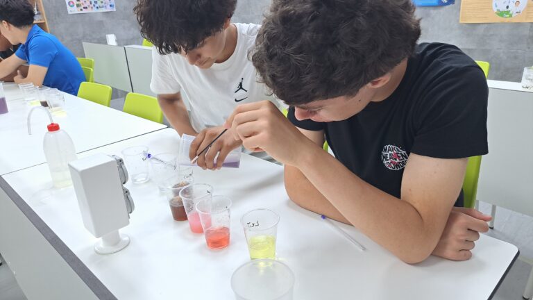 Práctica de laboratorio sobre lluvia ácida y sostenibilidad en Secundaria